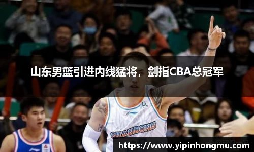 山东男篮引进内线猛将，剑指CBA总冠军